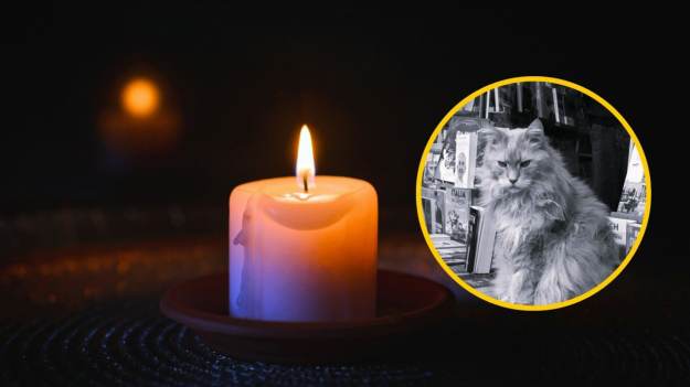 Był symbolem Warszawy i duszą księgarni. Kot..