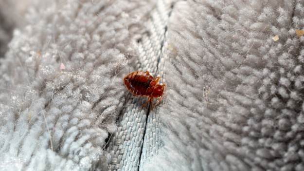 Przypadkowe odkrycie naukowców. To tego..