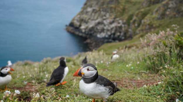 Można zamieszkać za darmo. To nie żart, ale jest..
