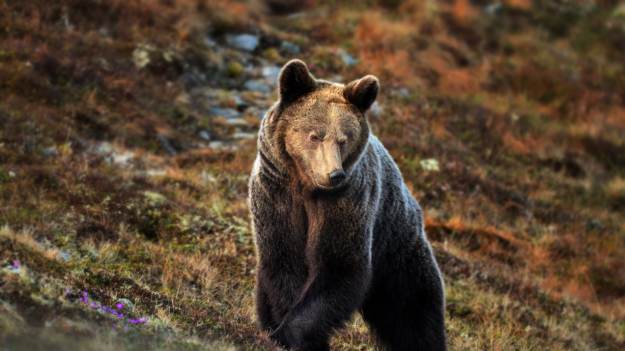 Bieganie to najgorszy pomysł. Ekspert TPN..
